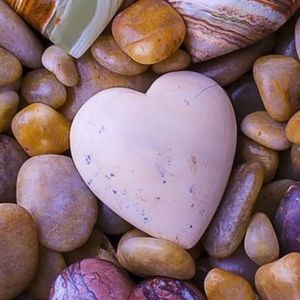 Meet your Posher, Lee anne